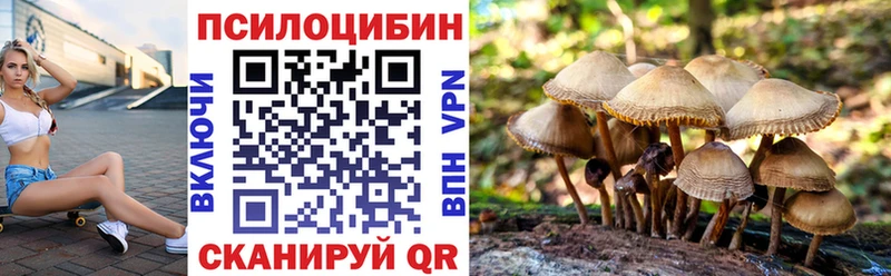 закладка  Белореченск  Псилоцибиновые грибы Psilocybine cubensis 