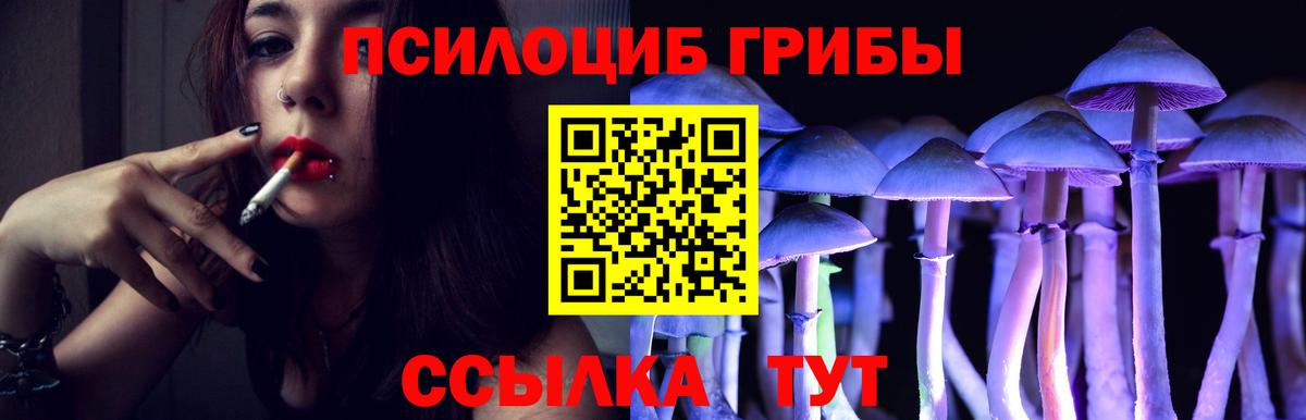 Псилоцибиновые грибы Cubensis Белореченск